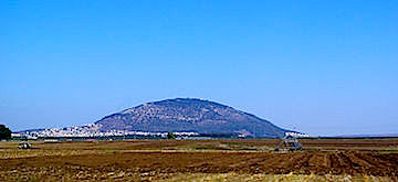Tabor Totale